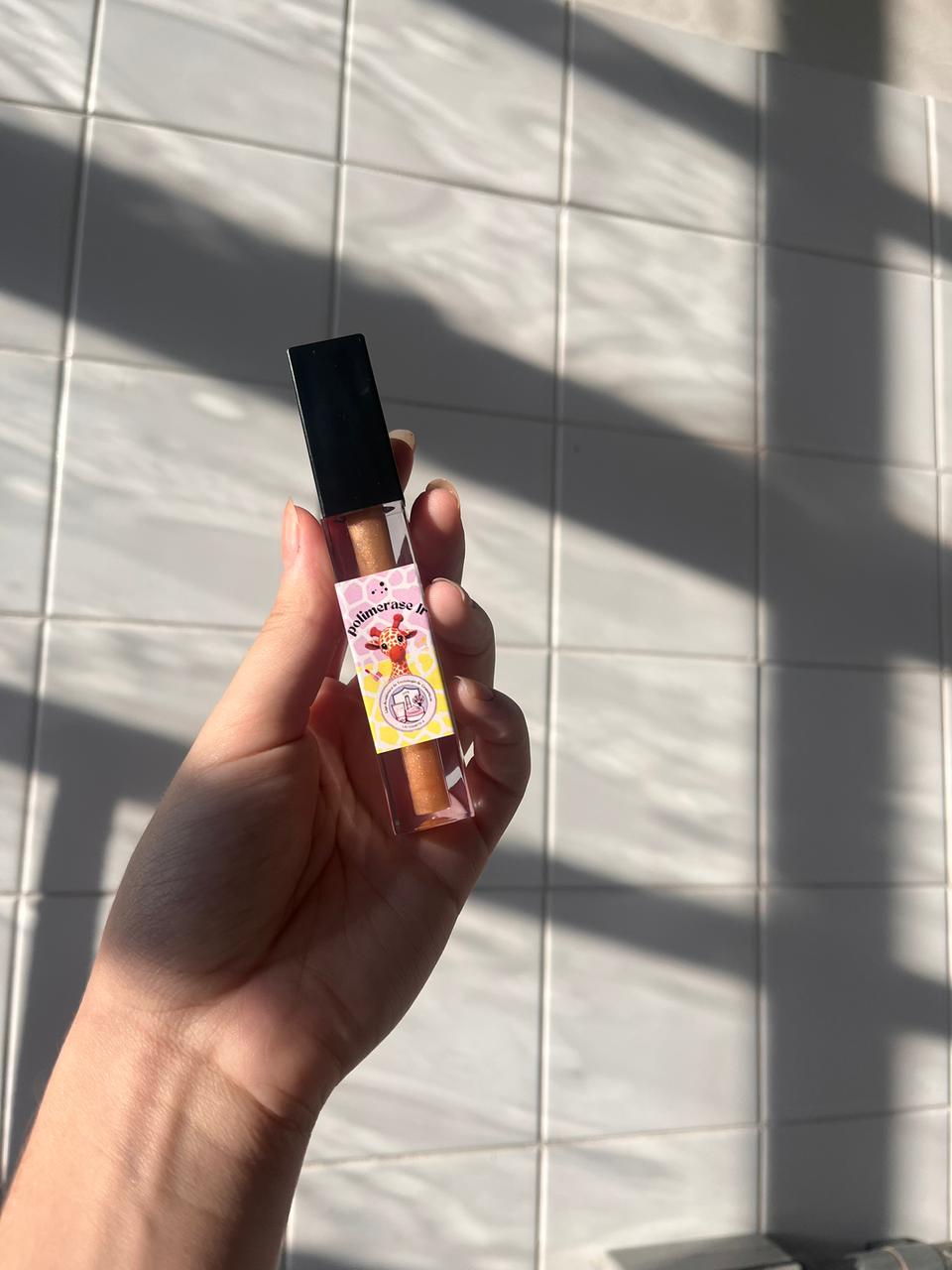 Foto do Minicurso de Lip Oil